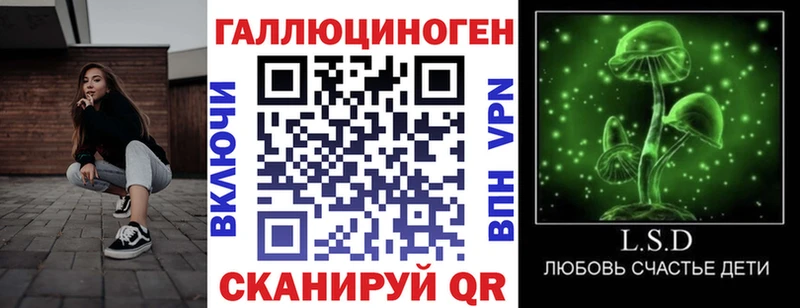 Псилоцибиновые грибы Cubensis  Пикалёво 
